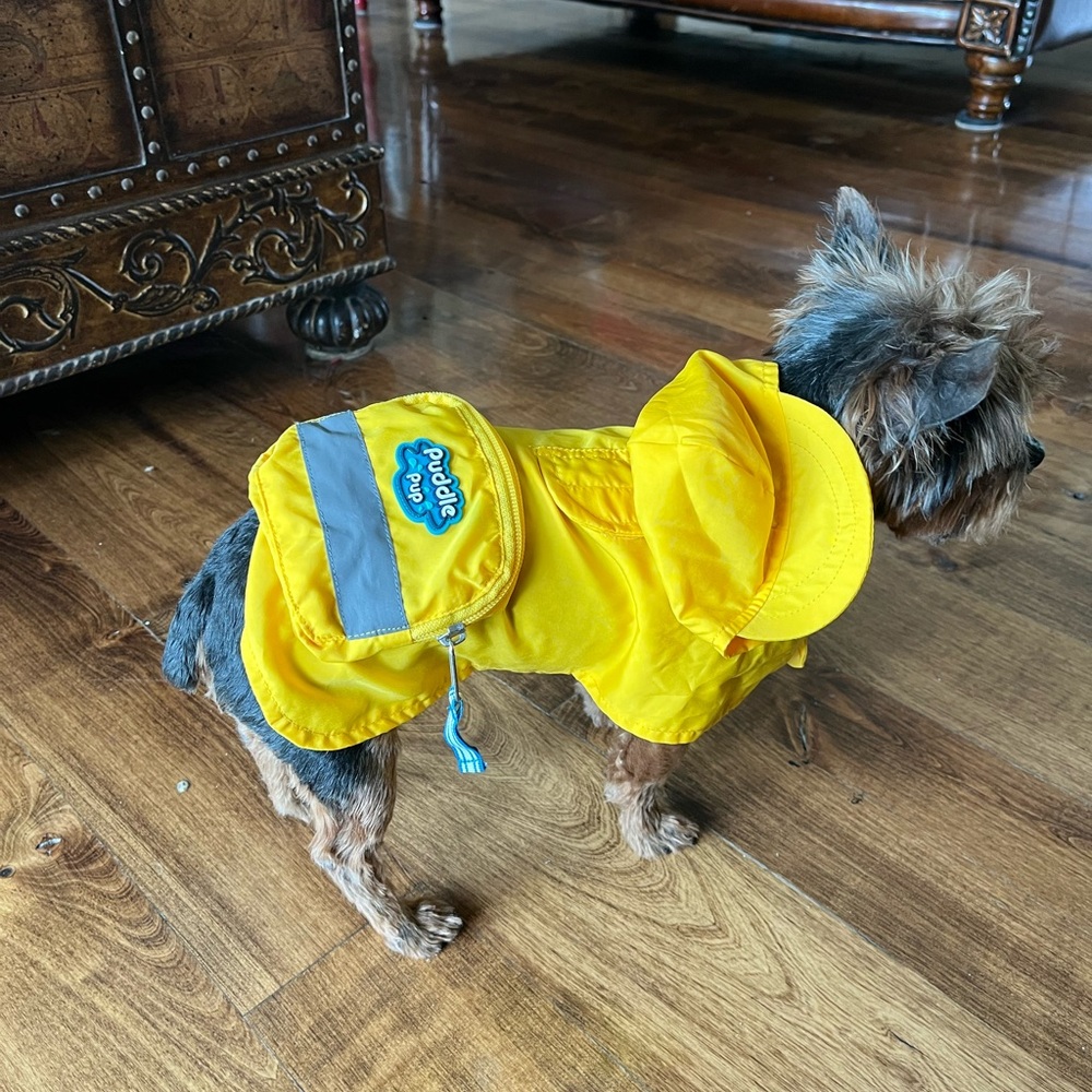 Puddle pup yellow dog jacket size XS yellow raincoat